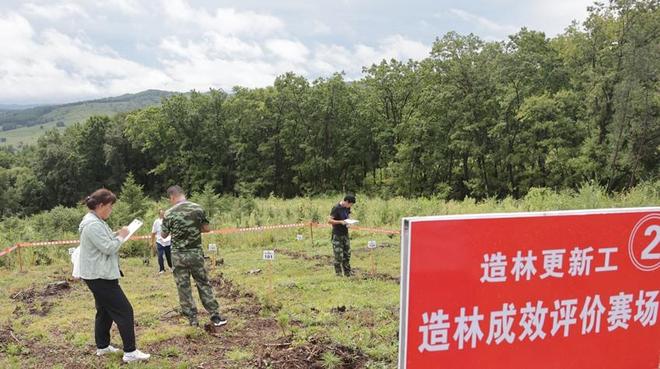 高手过招！吉林省第四届职工职业技能大赛暨造林更新工竞赛上演“