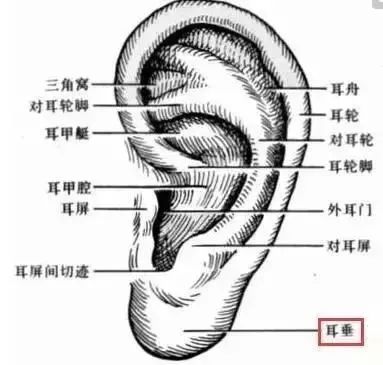 耳和髎的准确位置和作用